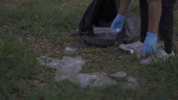 ゴミから森をきれいにする袋にペットボトルを拾う男環境汚染の概念ゴミ袋にペットボトルを拾うボランティアの男 生態学 汚染だ — ストック動画