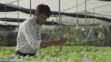 Happy smiling asian young farmer holding tablet looking at organic lettuce start business healthy career prospects Hydroponics garden. Agriculture. Modern hydroponics farm in his own house.