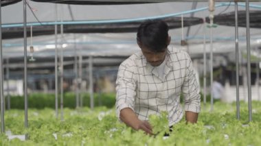 Happy smiling asian young farmer holding tablet looking at organic lettuce start business healthy career prospects Hydroponics garden. Agriculture. Modern hydroponics farm in his own house.
