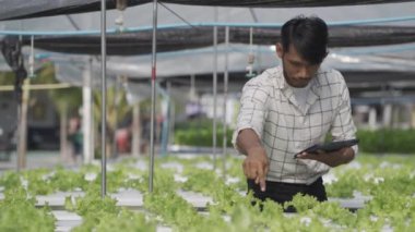 Happy smiling asian young farmer holding tablet looking at organic lettuce start business healthy career prospects Hydroponics garden. Agriculture. Modern hydroponics farm in his own house.