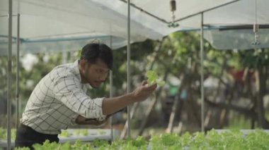 Happy smiling asian young farmer holding tablet looking at organic lettuce start business healthy career prospects Hydroponics garden. Agriculture. Modern hydroponics farm in his own house.