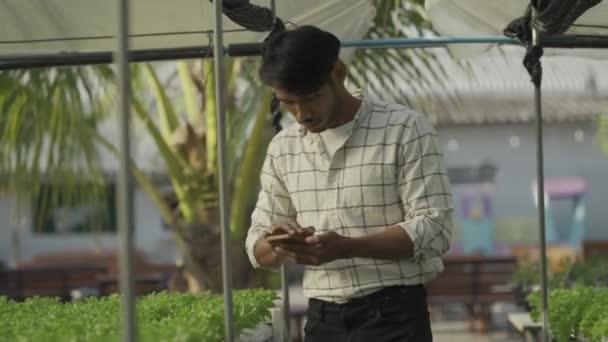 Happy Smiling Asian Young Farmer Holding Tablet Looking Organic Lettuce — Wideo stockowe