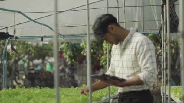 Happy Smiling Asian Young Farmer Holding Tablet Looking Organic Lettuce — Vídeo de stock