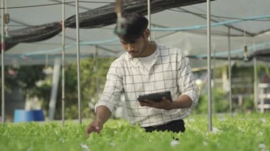 Hidrofonik sebze konsepti, hidrofonik sistemin suyunu kontrol etmek için Asya 'lı adam elinde tablet, hidrofonik sebzelerin kalitesini kontrol eden çiftçi, sağlıklı yiyecek toplayan, hidroponik üreten