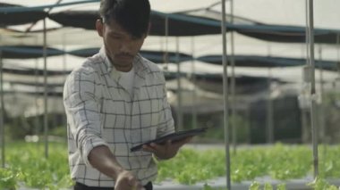 Hidrofonik sebze konsepti, hidrofonik sistemin suyunu kontrol etmek için Asya 'lı adam elinde tablet, hidrofonik sebzelerin kalitesini kontrol eden çiftçi, sağlıklı yiyecek toplayan, hidroponik üreten