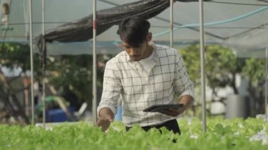 Hidrofonik sebze konsepti, hidrofonik sistemin suyunu kontrol etmek için Asya 'lı adam elinde tablet, hidrofonik sebzelerin kalitesini kontrol eden çiftçi, sağlıklı yiyecek toplayan, hidroponik üreten