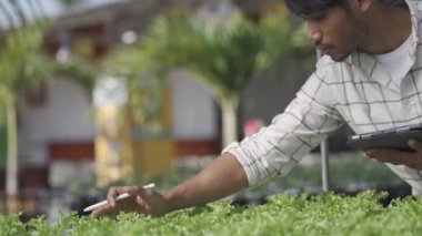 Hidrofonik sebze konsepti, hidrofonik sistemin suyunu kontrol etmek için Asya 'lı adam elinde tablet, hidrofonik sebzelerin kalitesini kontrol eden çiftçi, sağlıklı yiyecek toplayan, hidroponik üreten
