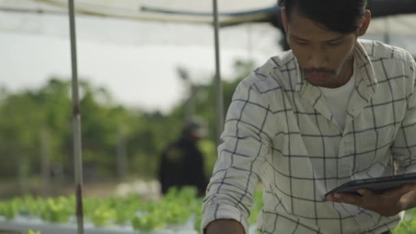 Concepto Verduras Hidropónicas Hombre Asiático Sosteniendo Tableta Para Comprobar Agua — Vídeo de stock