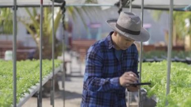 Hidrofonik sebze konsepti, hidrofonik sistemin suyunu kontrol etmek için Asya 'lı adam elinde tablet, hidrofonik sebzelerin kalitesini kontrol eden çiftçi, sağlıklı yiyecek toplayan, hidroponik üreten