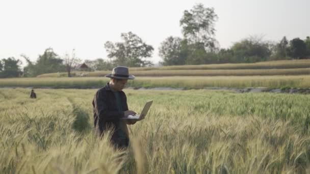 Jonge Mannelijke Landbouwer Die Tablet Laptop Gebruikt Gerstveld Landbouwproducten Voor — Stockvideo