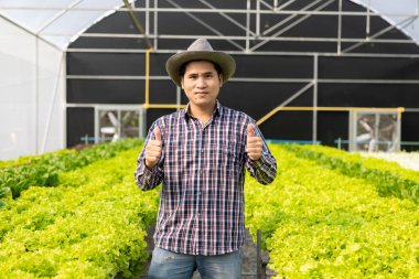 Genç Asyalı erkek organik sebze bahçesi kameraya bakıyor hidroponik sebze konsepti çiftlik salatası hidroponik yeşil meşe arka plan yeşil sebzeler