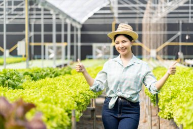 Sebze sahibi, dost canlısı Asyalı kadın çiftçi sebzeleri, hidroponiği, organik ürünleri, çiftliği, kreşi, tarım sektörü kavramını inceledikten sonra kameraya bakıp onaylıyor.
