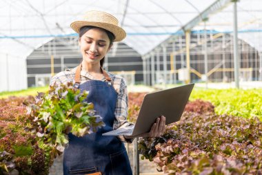Çiftçi Sebze Bahçesi Sahibi Genç Asyalı Dost Canlısı Kadın Gülümseyen ve Sebze Tutan Salata Organik Taze Hidrofonik Sebzeler Çiftlik Bahçesi Serasında üretilen tarım ürünleri