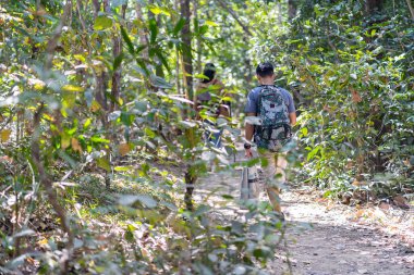 Sırt çantalı yakışıklı Asyalı genç gezgin, baston ve yürüyüş sopasıyla ormanda mutluluk içinde duruyor, yaz tatilinde özgürlük, seyahat konsepti..