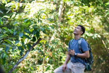 Sırt çantalı yakışıklı Asyalı genç gezgin, baston ve yürüyüş sopasıyla ormanda mutluluk içinde duruyor, yaz tatilinde özgürlük, seyahat konsepti..