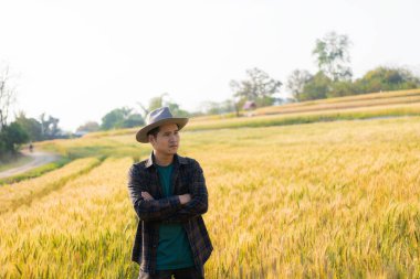 Arpa tarlasında buğday inceleyen Asyalı bir adam, verimli bir hasat için ekinlerine dikkat eden mutlu tarım çiftçisi.