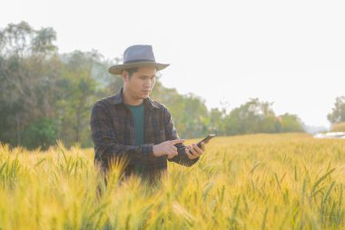 Asyalı erkek çiftçi akıllı telefon tutarken buğday hasat ederken gökyüzü iletişim konsepti altında Mutlu Kafkas kovboy çiftliği