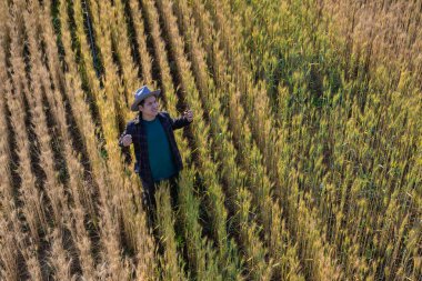 Arpa tarlasında buğday inceleyen Asyalı bir adam, verimli bir hasat için ekinlerine dikkat eden mutlu tarım çiftçisi.