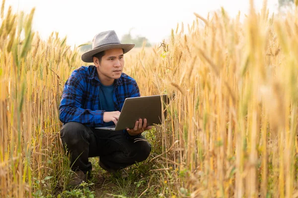 Азійський Розумний Фермер Який Використовує Сучасні Цифрові Технології Допомогою Ноутбука — стокове фото