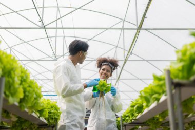 Afrikalı Amerikalı araştırmacı ve bitki genetiği uzmanı. Hidroponik sebze bahçesindeki bakteri ve kalitesini test edin. Araştırmacılar çiftlik suyundan yetiştirilen sebzeleri test etmek için örnekler topluyorlar..