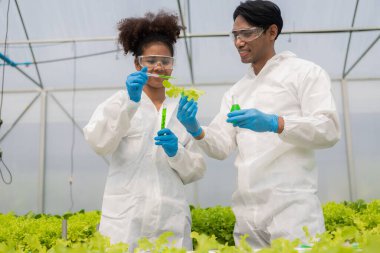 Afrikalı Amerikalı araştırmacı ve bitki genetiği uzmanı. Hidroponik sebze bahçesindeki bakteri ve kalitesini test edin. Araştırmacılar çiftlik suyundan yetiştirilen sebzeleri test etmek için örnekler topluyorlar..
