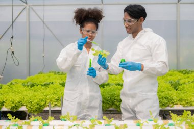Afrikalı Amerikalı araştırmacı ve bitki genetiği uzmanı. Hidroponik sebze bahçesindeki bakteri ve kalitesini test edin. Araştırmacılar çiftlik suyundan yetiştirilen sebzeleri test etmek için örnekler topluyorlar..