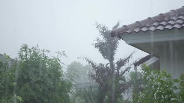 Rüzgarlı Havada Çok Şiddetli Yağmur Yağar Şiddetli Yağmur Altında Ağaçlara — Stok video