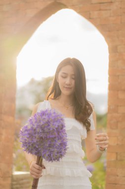 Çiçek bahçesinde mor buket tutan güzel Asyalı kadın, Chiang Mai, Tayland, tatil gezisi konsepti..