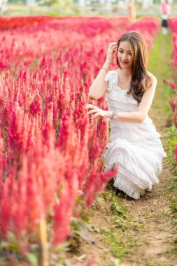 Genç Asyalı kadın Chiang Mai, Tayland 'da renkli bir çiçek bahçesinde seyahat ediyor..