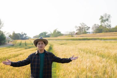 Tarım ürünleri endüstrisi konsepti, Asyalı erkek çiftçi, mutlu tarım uzmanı, verimli hasat için ürünlerine dikkat ediyor ve organik buğday hasadına hazırlanıyor..