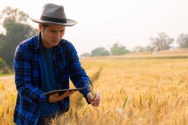 Tarım ürünleri endüstrisi konsepti mutlu tarım tableti taşıyan Asyalı erkek çiftçi zengin bir hasat için ürünlerine dikkat edin ve organik buğday ekinleri hasat etmeye hazırlanın..