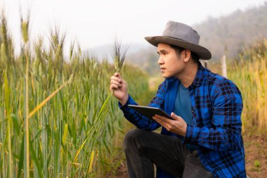 Tarım ürünleri endüstrisi konsepti mutlu tarım tableti taşıyan Asyalı erkek çiftçi zengin bir hasat için ürünlerine dikkat edin ve organik buğday ekinleri hasat etmeye hazırlanın..