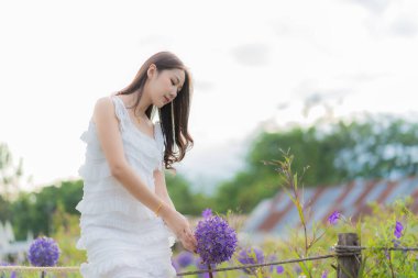 Mor çiçeklerle gezen genç Asyalı turist, Tayland 'ın Chiang Mai kentindeki bahçeden ortanca toplayarak çiçeklerini topluyor ve ortanca tarlasının tadını çıkarıyor...