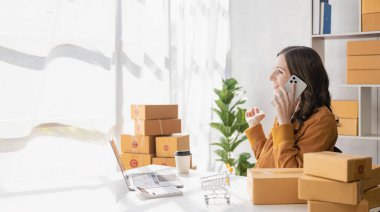 Dizüstü bilgisayarla çalışan kadın girişimci sarı paket kutusunda teslimatla online ev işine başlıyor. KME iş fikri