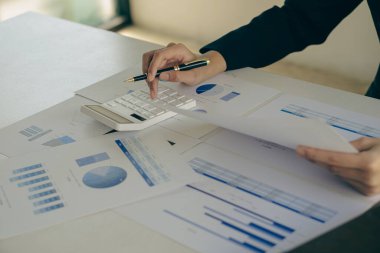 İç kontrol sistemini, muhasebe firmasını, ev faturalarını ya da mali dökümanları kontrol ederken dizüstü bilgisayarda çalışan muhasebeciyi doğrulamak için mali tabloları inceleyen iş analizi ekibi.