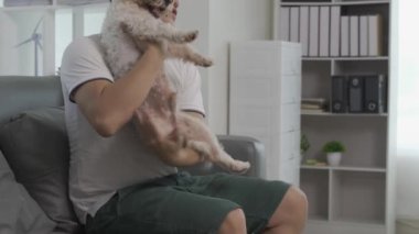 Oturma odasında evcil köpeği olan genç Asyalı adam yardım, sevgi ve ilgi istiyor. Mutlu adam kanepede öpüşüyor ve köpek yavrusuyla oynuyor. Küçük hayvanı.