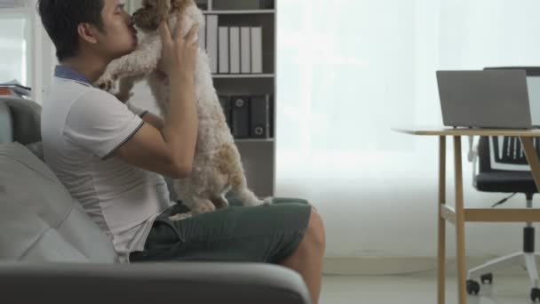 Молодий Азіатський Чоловік Собакою Дивані Вітальні Просить Допомоги Любові Догляду — стокове відео