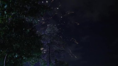 4K Real Fireworks Arkaplanı, gece gökyüzünde bokeh ışıkları, Yeni Yıl kutlamaları, yavaş çekim ile parlayan güzel altın havai fişeklerin bulanık görüntüsü.