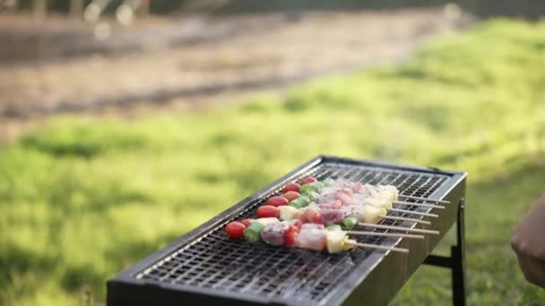 Close Street Food Seller Grilling Barbecue Bœuf Sur Brochettes Main — Video