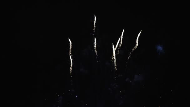 4K真正的焰火背景模糊了美丽的金色焰火的形象 夜空中灯火通明 除夕庆祝 动作缓慢 — 图库视频影像