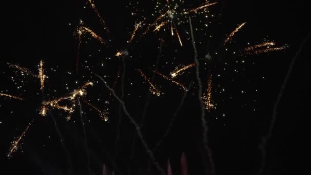 Real Fireworks Fundo Imagem Borrada Belos Fogos Artifício Dourados Brilhantes — Vídeo de Stock
