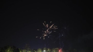 Altın havai fişekler aslında gece gökyüzünde Bokeh ışıklarıyla parlıyorlar. Havai fişekler eski yıla veda etmek ve yeni yıla hoş geldin demek için kutlama gösterisi yapıyor. Video 4