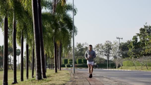 高质量的4K年轻亚洲男子在日出时在绿地公园做晨练 健康的生活方式和户外生活的理念 — 图库视频影像