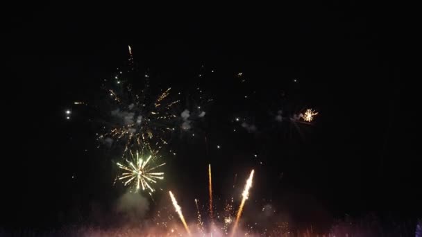 Fuochi Artificio Reali Con Grande Astratto Spettacolo Pirotecnico Multicolore Incandescente — Video Stock