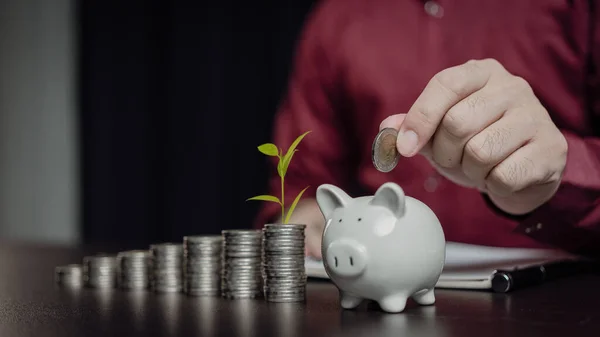 Businessman saves money in pig bank and saves money to buy funds and profits. Accumulate assets Wealth saving money and finance concept, business, finance, investment, financial planning