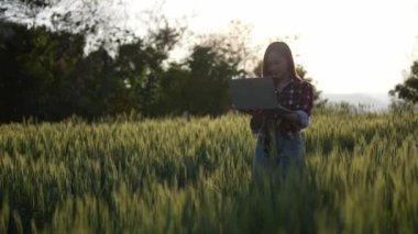 Tarlada çalışan Asyalı kadın hasatçı kadından gelecek geliri araştırıyor ve pirinç çiftliğindeki buğday ürünlerinin kalite kontrolünü denetliyor. Tarım endüstrisi ve hasat konsepti