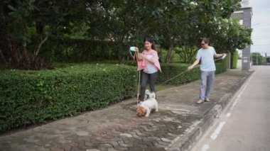 Yaşlı bir çift, küçük köpekleriyle parkta bir patikada yürüyor, köpekle birlikte doğada dinleniyorlar. Yaşlı erkek ve kadının tüm vücudu şık ve modaya uygun.