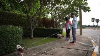 Yaşlı bir çift, küçük köpekleriyle parkta bir patikada yürüyor, köpekle birlikte doğada dinleniyorlar. Yaşlı erkek ve kadının tüm vücudu şık ve modaya uygun.