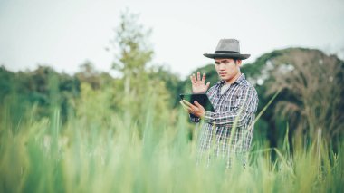 Genç çiftçiler pirinç tarlalarındaki pirinç çeşitliliğini araştırmak ve incelemek için dizüstü bilgisayar tabletleri kullanıyorlar. Pirinç tarlalarında çalışan akıllı çiftçiler. Modern çiftçilerin teknolojiyi kullanması kavramı.