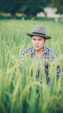 Genç çiftçiler pirinç çeşitlerinin tarlalarında geliştirilmesi ve araştırılması için tabletleri kullanıyorlar. Pirinç üretimi araştırmalarının verimliliğini arttırmak için. Akıllı çiftçilik ekimi kontrol etmek için teknolojiyi kullanır.